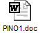 PINO1.doc